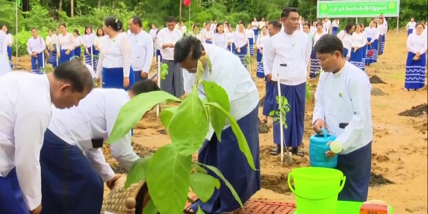 Monsoon Tree Planting : MOIMSMED held its 2026 monsoon tree-planting ...