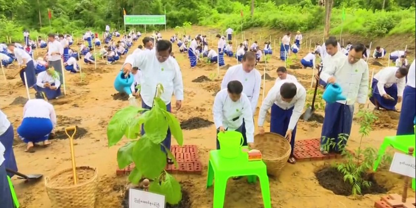 Monsoon Tree Planting : MOIMSMED held its 2026 monsoon tree-planting ...