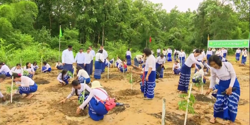 Monsoon Tree Planting : MOIMSMED held its 2026 monsoon tree-planting ...
