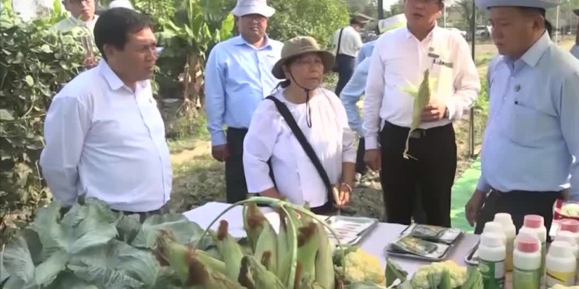 Inspection tour: MoALI DM inspected regional development works ...