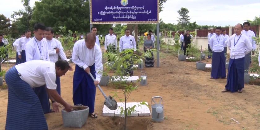 Monsoon Tree Planting Event :500 species of saplings planted | Myanmar ...
