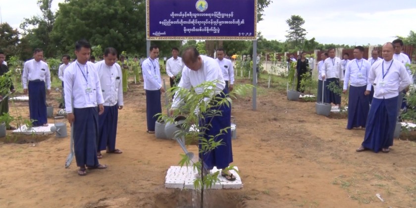 Monsoon Tree Planting Event :500 species of saplings planted | Myanmar ...