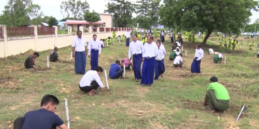 Monsoon Tree Planting Event :500 species of saplings planted | Myanmar ...