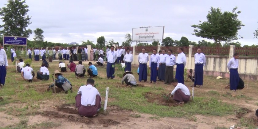 Monsoon Tree Planting Event :500 species of saplings planted | Myanmar ...