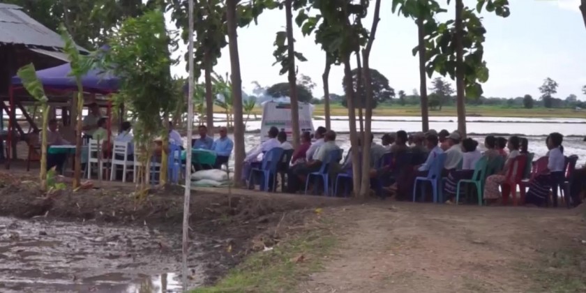 Monsoon Paddy Plantation : Cultivating over 40,000 acres in 2023 ...
