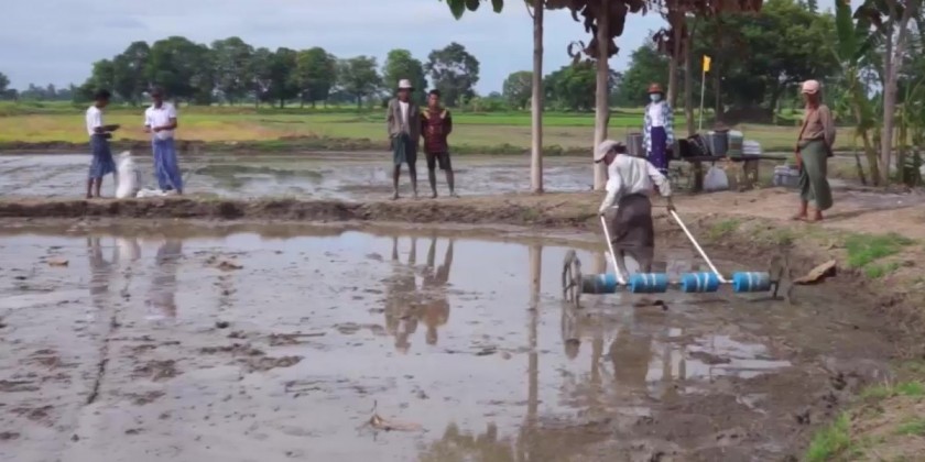 Monsoon Paddy Plantation : Cultivating over 40,000 acres in 2023 ...