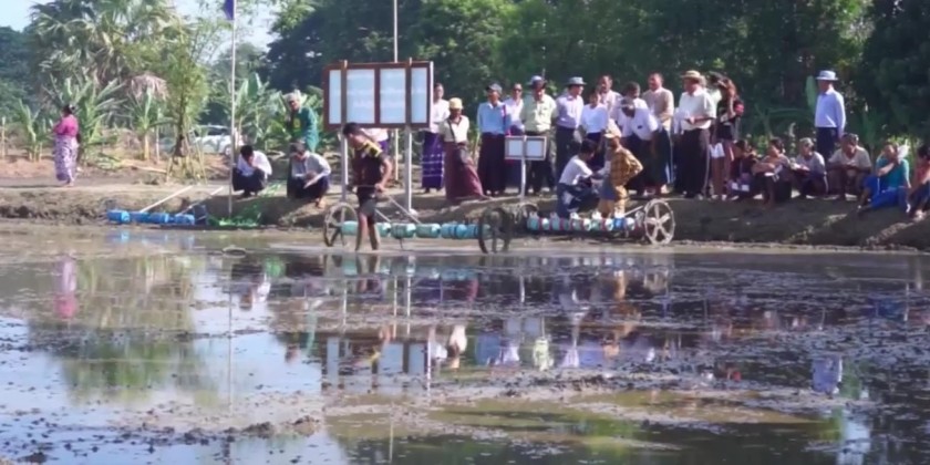 Monsoon Paddy Plantation : Cultivating over 40,000 acres in 2023 ...