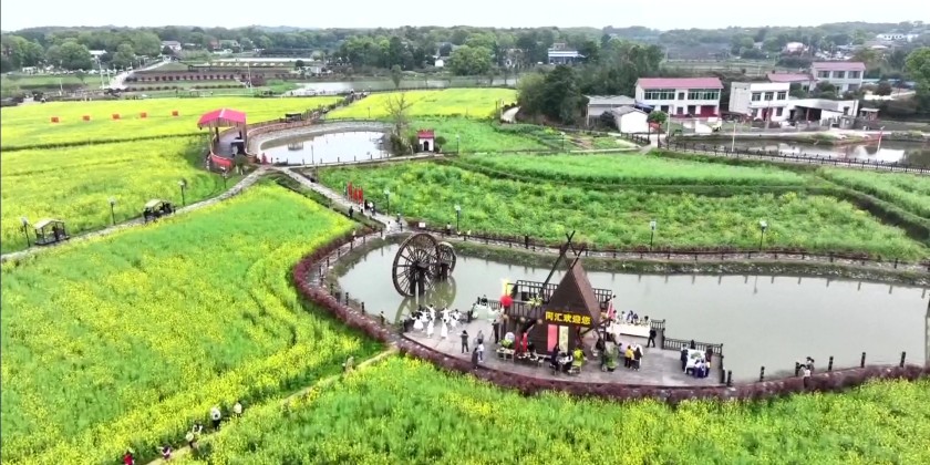 Springtime flower-viewing tours emerged as a major attraction | Myanmar ...