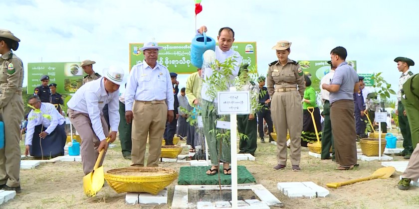Monsoon Tree Planting :Monsoon Tree Planting Ceremony held in Monywa ...