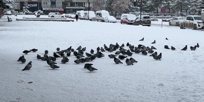 Cold and Snowy Weather Grips Turkiye | Myanmar International TV