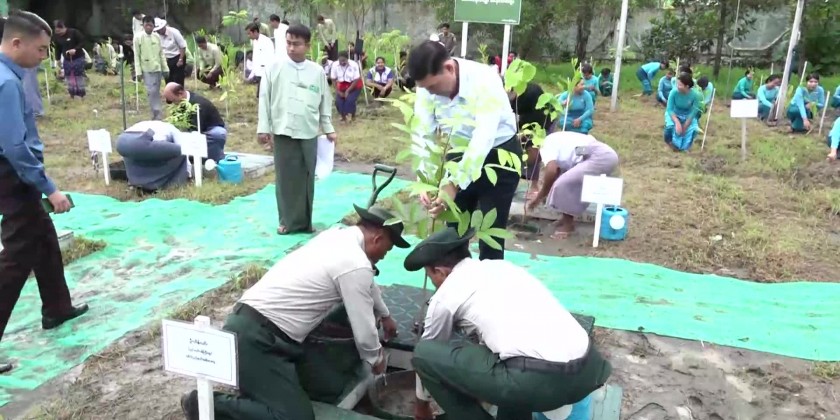 Tree planting ceremony: Rakhine State CM joined the ceremony | Myanmar ...
