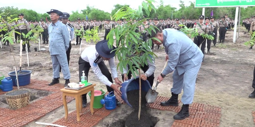 Monsoon Tree Planting: Monsoon tree planting held in CSA (L-Myanmar ...