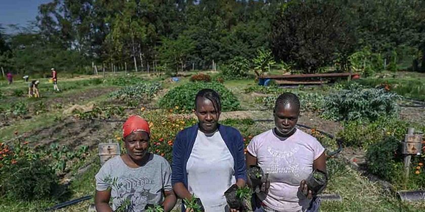 UN honors 7 initiatives for advancing global ecosystem restoration ...